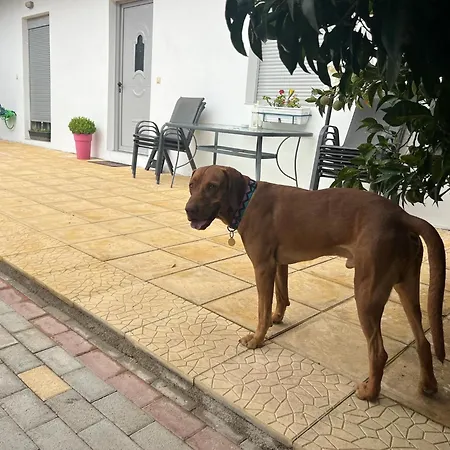 Kalosyni Lefkada *