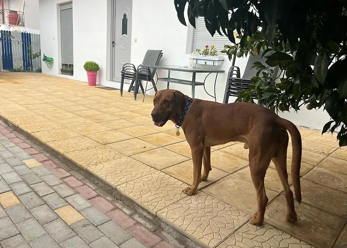 Kalosyni Lefkada *